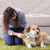 Sinypet M - 005 Pet Slicker Brush Soft Stainless Steel Bristles Rectangular Head with Clean Button