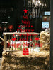 Merry Christmas and New Year Greetings Print Wall Art Stickers
