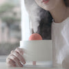 SOLOVE H5 Desktop Humidifier from Xiaomi youpin