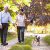 Sinypet L - 007 Retractable Dog Leash 5m Suitable for Pet Up to 30kg