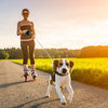 Sinypet L - 007 Retractable Dog Leash 5m Suitable for Pet Up to 30kg