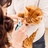 Sinypet Q - 004 Pet Nail Clipper for Small Dogs & All Sizes of Cats