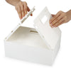 Folding Plastic Book Storage Box
