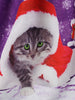 Christmas Tree Cat Snowflake Smocked Back Halter Plus Size Dress