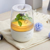 SmartFrog KW-AD101 Ultrasonic Humidifier Aromatherapy Top Plus Water