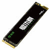 MAXSUN MS256GBNM6-2280 PCIe M.2 ( NGFF ) Interface M.2 NVME 256GB SSD Solid State Drive for Desktop Notebook Intel NUC