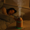 Mini Elk Horn 260ml USB Ultrasonic Air Humidifier Cool Mist with Night Light