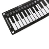 49 Key Folding Piano with Horn