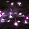 LED Lights Girl Heart 1.5 Meters 10 Lights