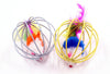 Cats Colorful Interactive Toys