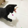 Cats Colorful Interactive Toys