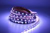 12Mm Pcb Rgb Cct Led Strip 5050 Dc12V/ 24V Flexible Light Rgb+White+Warm White 5 Color In 1 Led Chip 60 Led/M 5M/Lot Waterproof