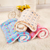 New Soft Cat Bed Rest Dog Blanket Winter Foldable Pet Cushion Hondenmand Coral Cashmere Soft Warm Sleep Mat Sweet Dream Bed