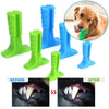 Dog Toys Tooth Brush Bite-Resistant Bone Pet Dog Chew Toys Remove Bad Breath Cleaning Tooth Small Large Dog Supplies Health Toys