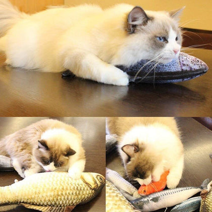 Cat Toys Creative 3D Artificial Fish Plush Sleeping Cushion Cat Scratch Board Scratching Post Catnip Pet Cat Playing Toys