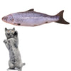 3D Chewing cat toy catnip stuffed fish playing toy