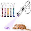 Portable Interactive Led Training Pointer Pet Laser Pointer Cat Pet Toy Light Pen With Bright Animation Mouse Shadow Playing