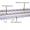 5M 5050 Smd Led Strip Rgb Rgbw (Rgb + White) Rgbww (Rgb+Warm White) Rgbcct Flexible Led String Light 5M/ 300 Leds 12V  24V Home