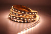 12Mm Pcb Rgb Cct Led Strip 5050 Dc12V/ 24V Flexible Light Rgb+White+Warm White 5 Color In 1 Led Chip 60 Led/M 5M/Lot Waterproof