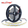 2835 Led Strip 5M 1200 Led High Brightness 12V Led Flexible Pcb Led Backlight White Warm White 240 Led/M