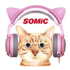 Somic G951S Ps4 Pink Cat Ear Noise Cancelling Headphones 3.5Mm Plug Girl Kids Gaming Headset With Microphone For Phone