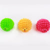 Pet Toys Dog Ball Squeeze Sound Hondenspeelg For Small Large Dog Molar Bite Training Decompression Vent Toys Variety Jouet Chien