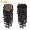 Water Wave Bundles With Closure Malaysian Curly Hair Bundles With Closure Human Hair 3/4 Bundles With Closure Ossilee Remy Hair