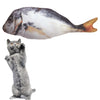 3D Chewing cat toy catnip stuffed fish playing toy