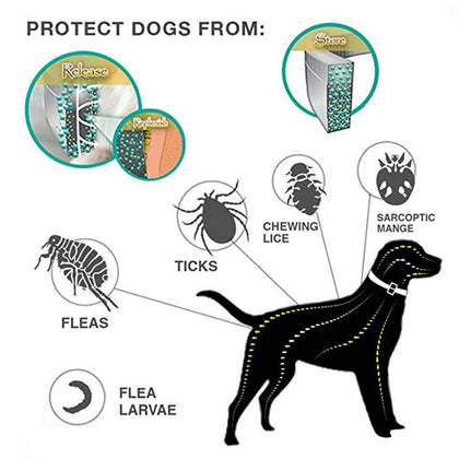 Dewel Pet Dog flea Collar Anti Flea Ticks collars for Cat dog Mosquitoes Outdoor Protective Adjustable Repels Dog Accessories