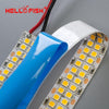 12V Led Strip 2835 Smd 2400 Led Chip Flexible Pcb Light Led Backlight Strip Led Tape 480 Led/M  White Warm White