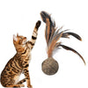 Cats Catnip Feather Chewing Healthy Toy