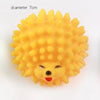 Pet Toys Dog Ball Squeeze Sound Hondenspeelg For Small Large Dog Molar Bite Training Decompression Vent Toys Variety Jouet Chien