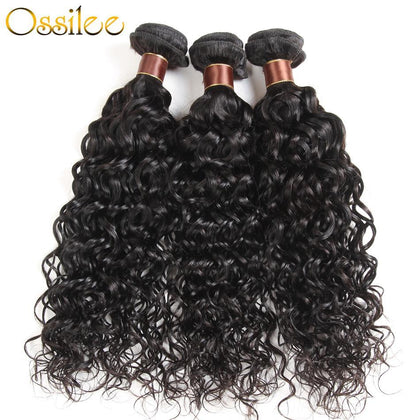 Water Wave Bundles with Closure Malaysian Curly Hair Bundles with Closure Human Hair 3/4 Bundles with Closure Ossilee Remy Hair