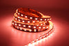 12Mm Pcb Rgb Cct Led Strip 5050 Dc12V/ 24V Flexible Light Rgb+White+Warm White 5 Color In 1 Led Chip 60 Led/M 5M/Lot Waterproof