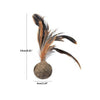 Cats Catnip Feather Chewing Healthy Toy