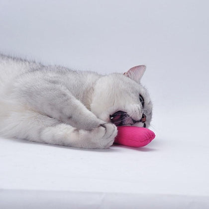 Popular High Quanlity Cute Interactive Fancy Pets Teeth Grinding Catnip Toys Claws Thumb Bite Cat mint