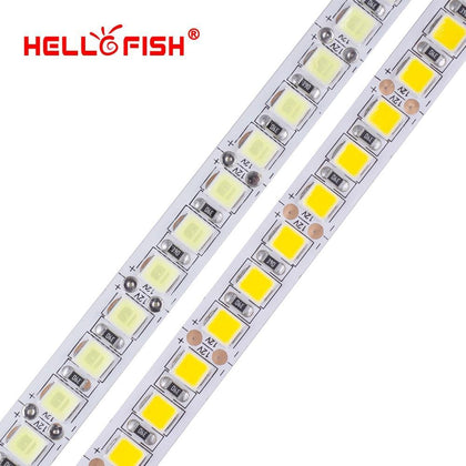LED strip 12V 5m 600 LED 5054 flexible light IP67 waterproof High brightness LED tape white warm white