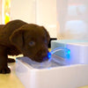 1.8L Led Automatic Cat Dog Kitten Water Drinking Fountain Pet Bowl Drink Dish Filter Pet Water Fountain Support ping